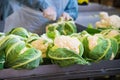 Cauliflower is cleaned, washed, dried and frozen for further storage