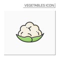 Cauliflower color icon