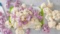 Cauliflower florets, white and purple, close-up on cutting board on light grey stone background Royalty Free Stock Photo