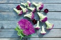 Cauliflower and flowers