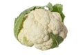 Cauliflower head