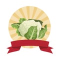 Cauliflower icon cartoon round icon