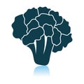 Cauliflower Icon On Gray Background