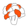 Cauliflower Icon