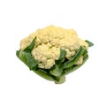 Cauliflower isolated