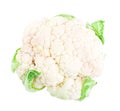Cauliflower Royalty Free Stock Photo