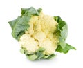 Cauliflower isolated on white background Royalty Free Stock Photo