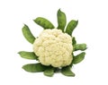 Cauliflower isolated on white background,fresh helathy