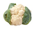 Cauliflower isolated