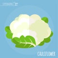 Cauliflower vector icon.