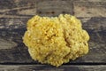 Cauliflower mushroom sparassis crispa Royalty Free Stock Photo