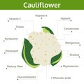 Cauliflower nutrient of facts and health benefits, info graphic