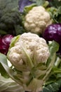 Cauliflower and other cabbages