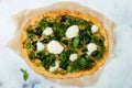 Cauliflower pizza crust with pesto, kale, mozzarella cheese and greens. Royalty Free Stock Photo