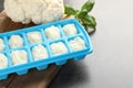 Cauliflower puree in ice cube tray ready for freezing on grey table, closeup. Space for text Royalty Free Stock Photo