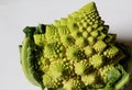Cauliflower- Romanesco broccoli plant