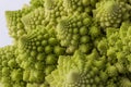 Cauliflower Romanesco broccoli Royalty Free Stock Photo
