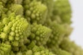 Cauliflower Romanesco broccoli Royalty Free Stock Photo