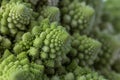 Cauliflower Romanesco broccoli Royalty Free Stock Photo