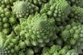 Cauliflower Romanesco broccoli