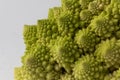 Cauliflower Romanesco broccoli Royalty Free Stock Photo