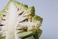 Cauliflower Romanesco broccoli Royalty Free Stock Photo