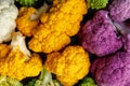 Cauliflower and romanesco broccoli on wooden background. Healthy food concept Royalty Free Stock Photo