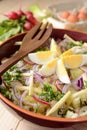 Cauliflower salad with potatoes, hard cheese, eggs, red onion and radish Royalty Free Stock Photo