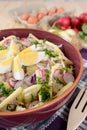 Cauliflower salad with potatoes, hard cheese, eggs, red onion and radish Royalty Free Stock Photo