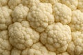 Cauliflower Surface Macro â Detailed Texture and Fresh Vegetable Concept Royalty Free Stock Photo