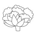 Cauliflower vegetable icon