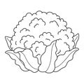 Cauliflower Vegetable Isolated Coloring Page