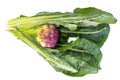 Cauliflower of violet color Royalty Free Stock Photo