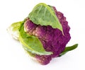 Cauliflower of violet color Royalty Free Stock Photo