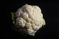 Cauliflower ;Brassica oleracea L. var. Botrytis; is a variety of Brassica oleracea.