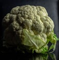 Cauliflower & x28;Brassica oleracea L. var. Botrytis& x29; is a variety of Brassica oleracea. Royalty Free Stock Photo