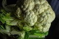 Cauliflower & x28;Brassica oleracea L. var. Botrytis& x29; is a variety of Brassica oleracea. Royalty Free Stock Photo