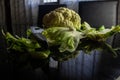 Cauliflower & x28;Brassica oleracea L. var. Botrytis& x29; is a variety of Brassica oleracea. Royalty Free Stock Photo