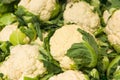 Cauliflowers market