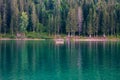 Caumasee mountain lake in the Swiss Alps floating raft sunny summer time clear turquoise water pine tree forest in the background Royalty Free Stock Photo