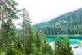 Caumasee in Switzerland lake with turquoise water Royalty Free Stock Photo