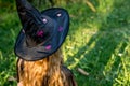 Causcasian blond girl with long hair in halloween witch costume sitting on a grass Royalty Free Stock Photo