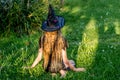 Causcasian blond girl with long hair in halloween witch costume sitting on a grass Royalty Free Stock Photo