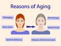 Causes of aging, vector illustration with two faces