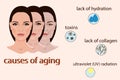 Causes of aging, vector illustration with two faces and small pictures Royalty Free Stock Photo