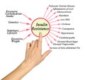 Insulin Resistance