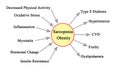 Causes and Consequences of Sarcopenia Obesity