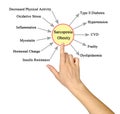 Causes and Consequences of Sarcopenia Obesity