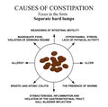 Causes of constipation. Sheep feces Infographics. Vector illustration on isolated background.
