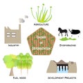 Causes of Deforestation Infographic